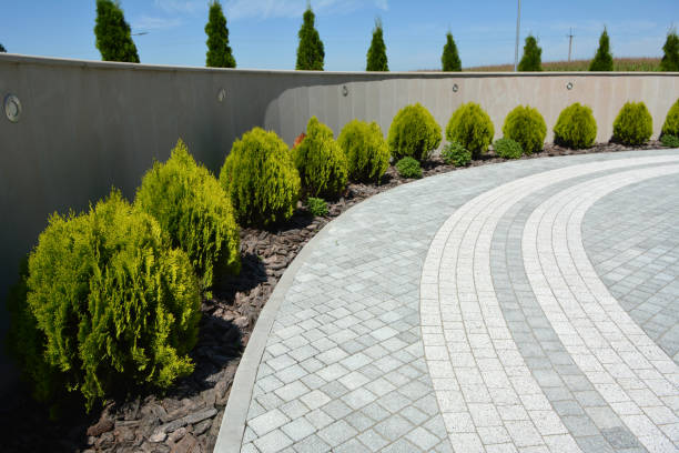 Best Driveway Pavers Near Me  in Nevada, IA